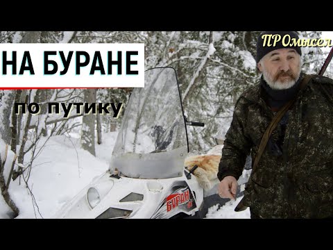 Видео: ПРОбивка путика на Буране