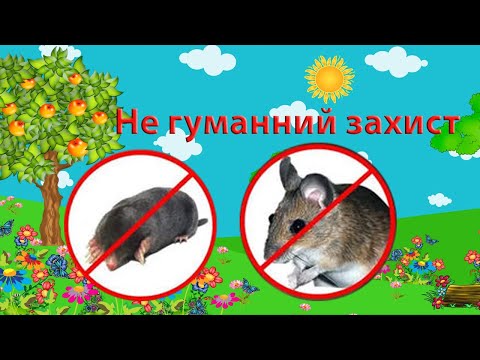 Видео: Як позбутись кротів та мишей