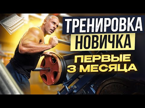 Видео: Тренировки новичков. Первые 3 месяца.