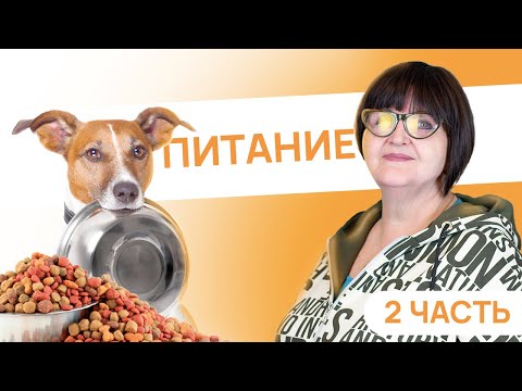 Видео: Питание от щенка до взрослой собаки - 2 Часть - Как кормить собаку сухим кормом? - Питание собаки
