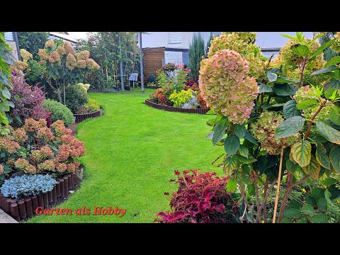 Видео: Гортензии в сентябре/названия сортов.