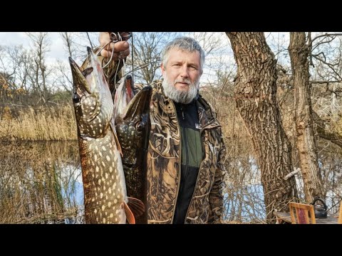 Видео: 😱 ЩУКА АТАКУЄ! Найкраща Осіння Риболовля на Воблери | Життя Рибалки