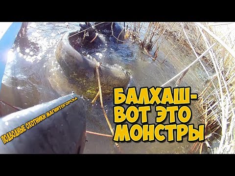 Видео: Уральцы за трофеями. Озеро Балхаш дельта реки Или.