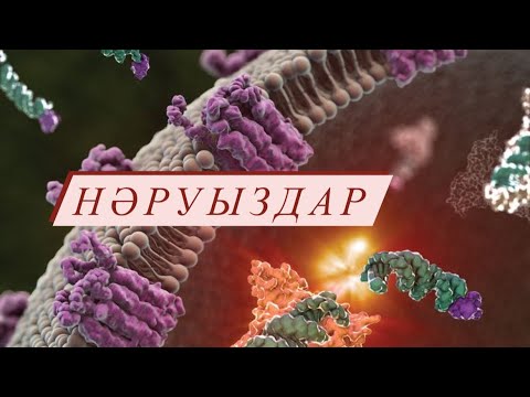 Видео: Нәруыздар теория