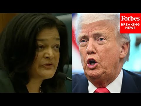 Видео: Прамила Джаяпал обвиняет администрацию Трампа в «похищении и исчезновении людей» во время рейдов ...