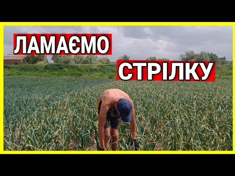 Видео: ЛАМАЄМО СТРІЛКУ НА ЧАСНИКУ