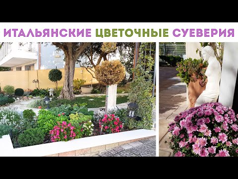 Видео: ⭐КУПИЛА ПОХОРОННЫЙ ЦВЕТОК? 🌺 чтобы мульча не разбегалась, СДЕЛАЛА БОРДЮР