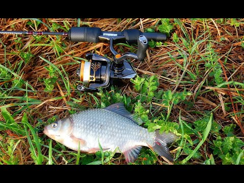 Видео: Мормышинг на озере. Щурьё атакует Карбон