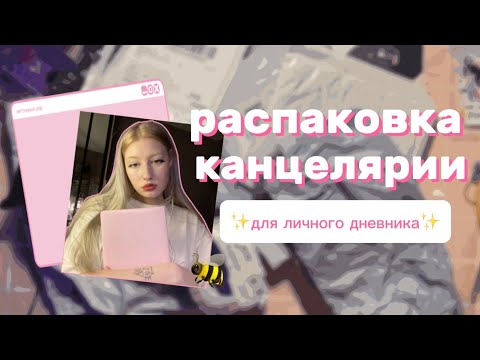 Видео: РАСПАКОВКА канцелярии с aliexpress | посылка от тайного Санты🎅🏻