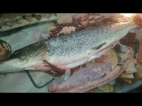 Видео: Готовим щуку, часть 1. Филе щуки в кляре. Щучья икра.