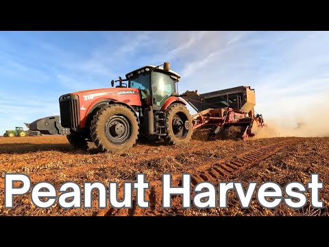 Видео: Гонка за урожай