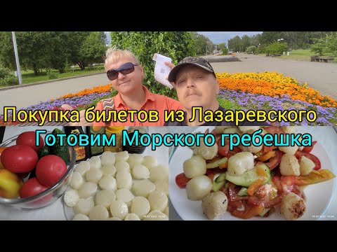 Видео: Покупка обратных билетов из Лазаревского/ Готовим Морского гребешка