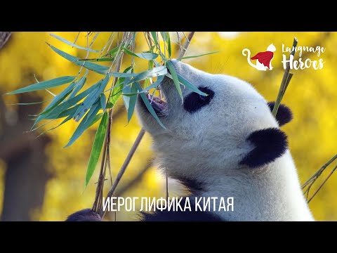 Видео: Иероглифика Китая