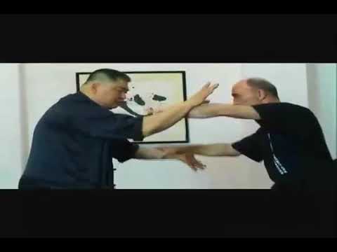 Видео: Введение в Илицюань