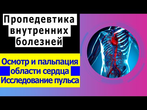 Видео: Пропедевтика внутренних болезней | Осмотр и пальпация области сердца | Исследование пульса