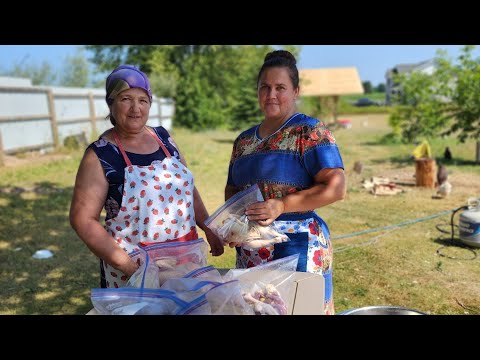 Видео: СВЕКРОВЬ ПРИЕХАЛА НА ПОМОЩЬ