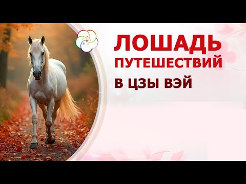 Видео: Мастер-класс Путешествующая лошадь в ЦВДШ