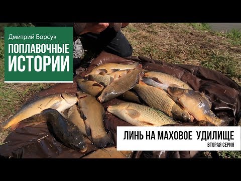 Видео: Линь на Маховое Удилище. Часть 2. Дмитрий Борсук | Поплавочные Истории №13
