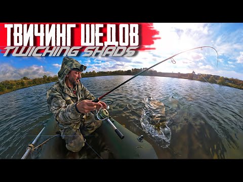 Видео: 🔴 ЩУКИ РВУТ СПИННИНГ из РУК!!! ТВИЧИНГ ШЕДОВ по мелководью!!!🔥💪🔥