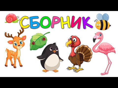 Видео: Большой Сборник Монтессори Развивающие Мультики для Детей