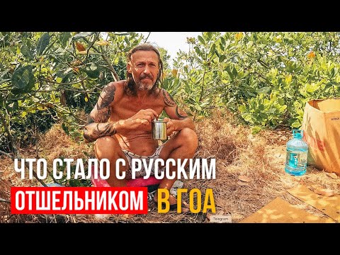 Видео: КАК РУССКИЕ ЖИВУТ В ДЖУНГЛЯХ ГОА. СТОИТ ЛИ СЮДА ЕХАТЬ?