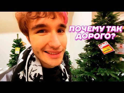 Видео: ПОКУПАЕМ ЁЛКУ К НОВОМУ ГОДУ / ИРЛ Кореш, PLOHOYPAREN, Жожо, Акулич и Exile