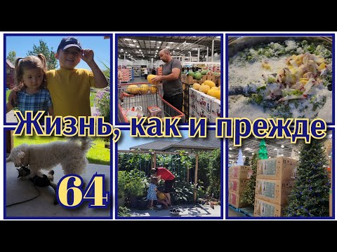 Видео: РЕЦЕПТ ОКРОШКИ●МЫ СНОВА ВЛИЛИСЬ В НАШУ ПРЕЖНЮЮ ЖИЗНЬ●#64