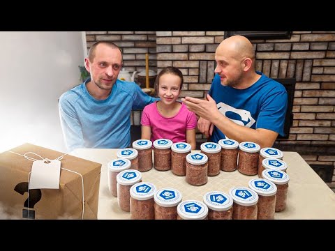 Видео: Ураган ломает деревья в нашем лесу.Паштет из печени.Посылка  с севера.Как наши животные приняли кур?