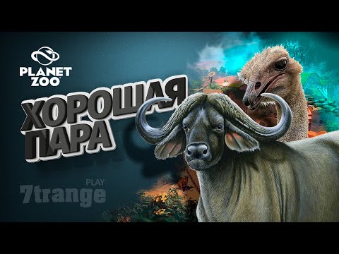 Видео: БУЙВОЛ И СТРАУС #17 | Planet Zoo