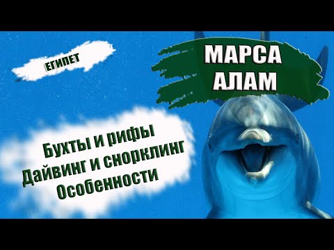 Видео: ЕГИПЕТ| МАРСА АЛАМ| Бухты Marsa Alam. Домашние рифы Красное море