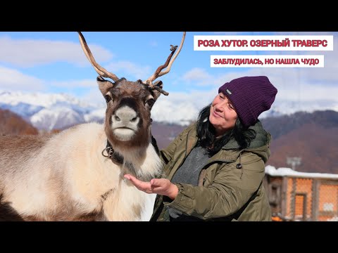 Видео: Роза Хутор. Озерный траверс. Оленья ферма. Шишин двор. Сколько стоит отдых