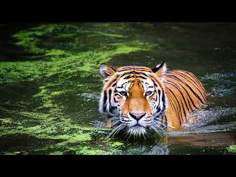 Видео: Зарядка созерцателя 2👀🔥 Из эфира Утро славы 15.02.23 Андрей Яковишин