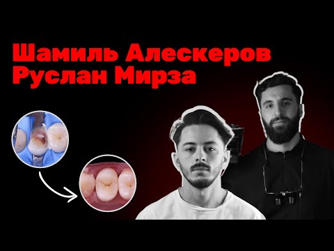 Видео: Шамиль Алескеров / Руслан Мирза - кейсология