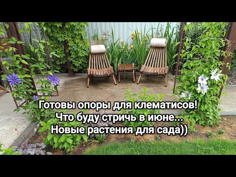 Видео: ОПОРЫ для клематисов/ НОВИНКИ в сад/ что НУЖНО СТРИЧЬ сейчас, начало июня))