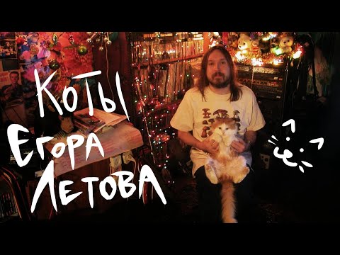 Видео: Егор Летов и КОТИКИ | Коты Егора Летова | feat Михаил Пирогов