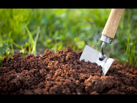 Видео: Почвоведение