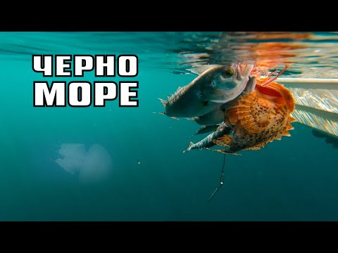 Видео: ЛЕФЕРИ на ЧЕРНО МОРЕ ! Рядък вид  улов , хванахме МНОГО риба