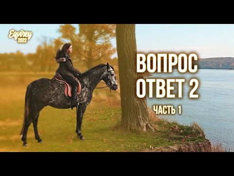 Видео: ВОПРОС - ОТВЕТ 2 | часть 1