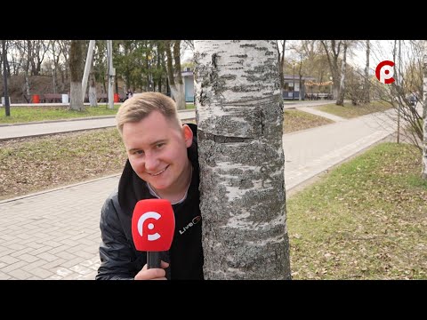 Видео: Что вижу, то пою. Выпуск №262