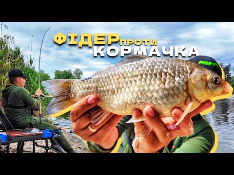 Видео: КАРАСІ НА ДНІПРІ! ФІДЕР ПРОТИ КОРМАЧКІВ!