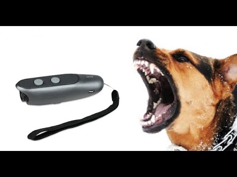 Видео: Ультразвуковой ОТПУГИВАТЕЛЬ СОБАК ULTASONIC 🐕 Алиэкспресс Проверка Dog Repeller!