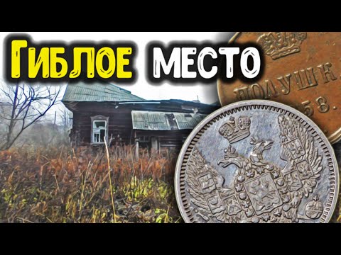 Видео: Гиблое место! Шурф фундамента в заброшенной деревне, нашел редкую монету! Коп с металлоискателем!