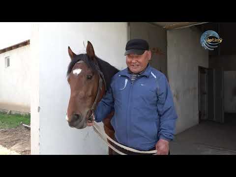 Видео: БӘЙГЕ - БАЙЛЫҒЫМЫЗ , ҚОЛТУМА - ҚАДІРІМІЗ! / АБАДАН / 02.05.2025