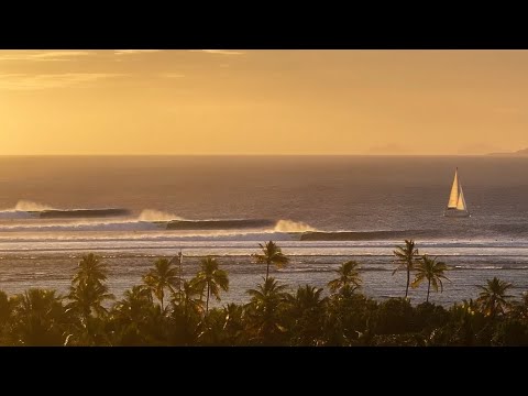 Видео: Я НАКОНЕЦ-ТО РАСКРЫЛ САМЫЙ СОКРЫТЫЙ СЕКРЕТ ФИДЖИ!!!