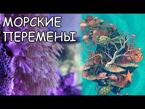 Видео: БОЛЬШИЕ ПЕРЕМЕНЫ В МОРСКОМ АКВАРИУМЕ