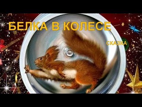 Видео: Белка в колесе | Сказка И. Семиной(Эльфика)