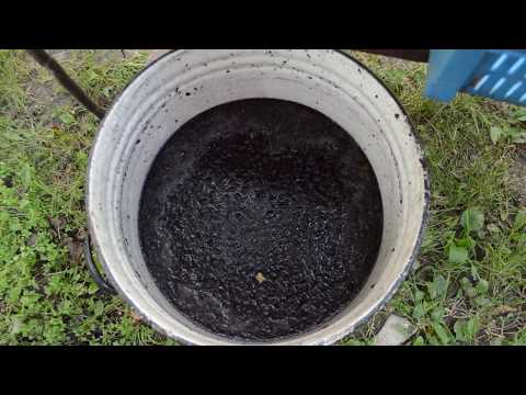 Видео: Вино из шелковицы