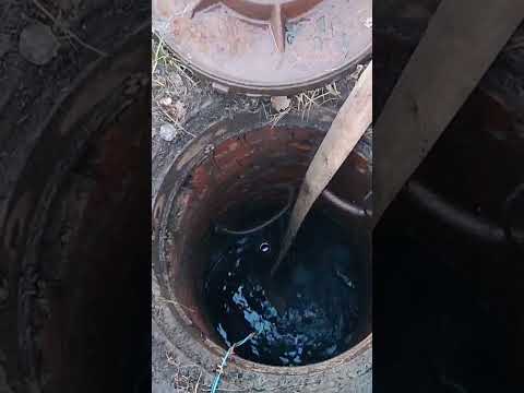 Видео: #корни #труба #шок #roots #trumpet #shock #2024