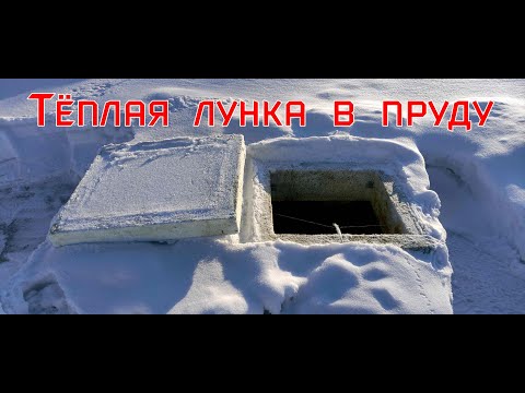 Видео: Искусственный пруд с рыбой зимой в Сибири