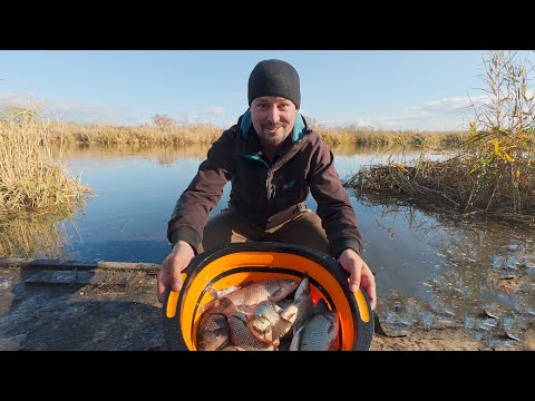 Видео: Поки всі билися за місця — ми наловили відро карасів! 😂 ● RoMaX Fishing ●